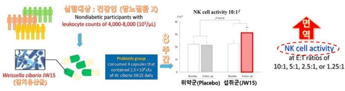 면역 기능 개선 효능연세대 발표논문